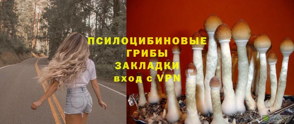 прущая мука Абаза