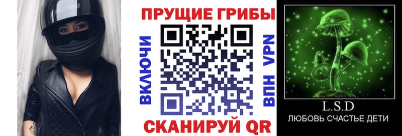 Псилоцибиновые грибы мицелий  Миллерово 