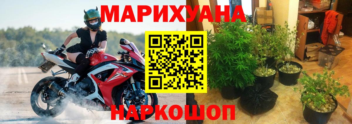 Миллерово  Каннабис индика  Канабис планчик  Вход с VPN  Бошки марихуана Ganja 